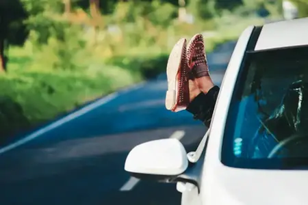 Slovenya Vinyet Satın Alma Çevrimiçi